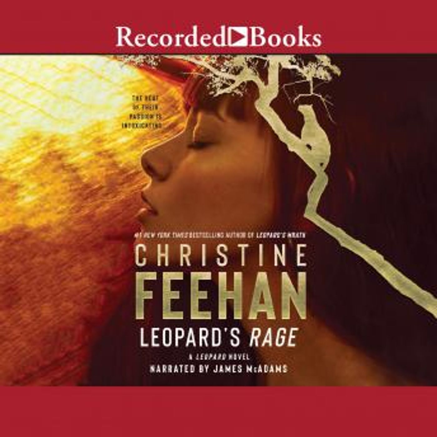 Listen to New Full Audiobooks in Romance, Modern