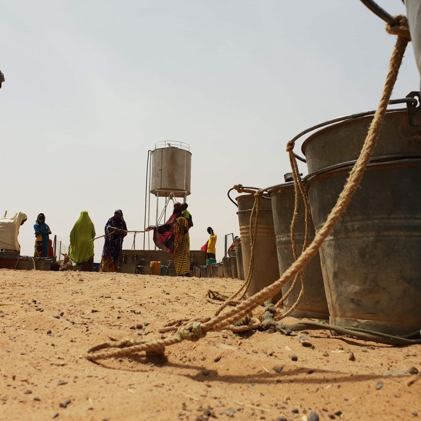Ressources en eau au Niger : réglementation, gestion et prévention des conflits (Magazine) episode artwork