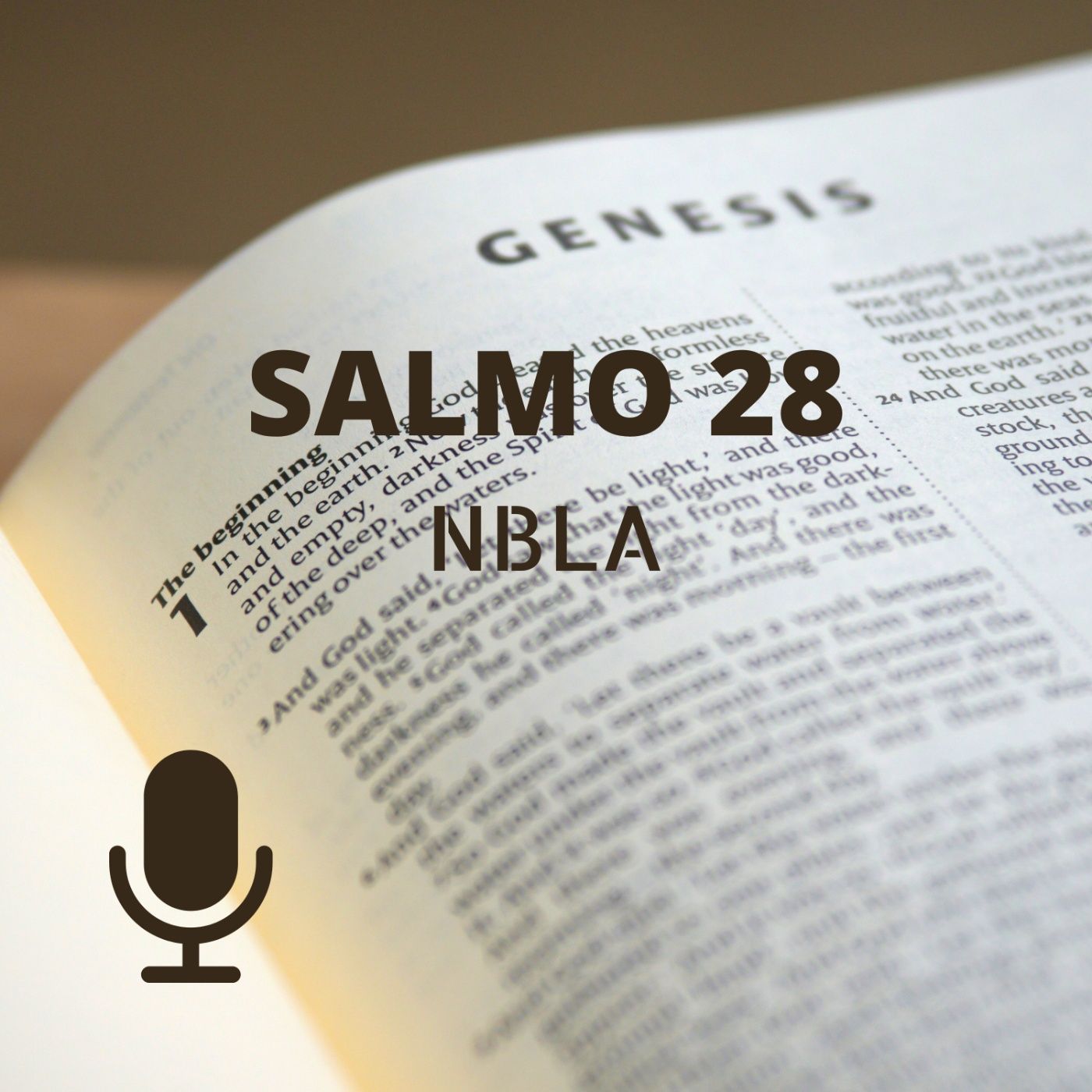 Salmo No 28 Súplica y acción de gracias episode artwork