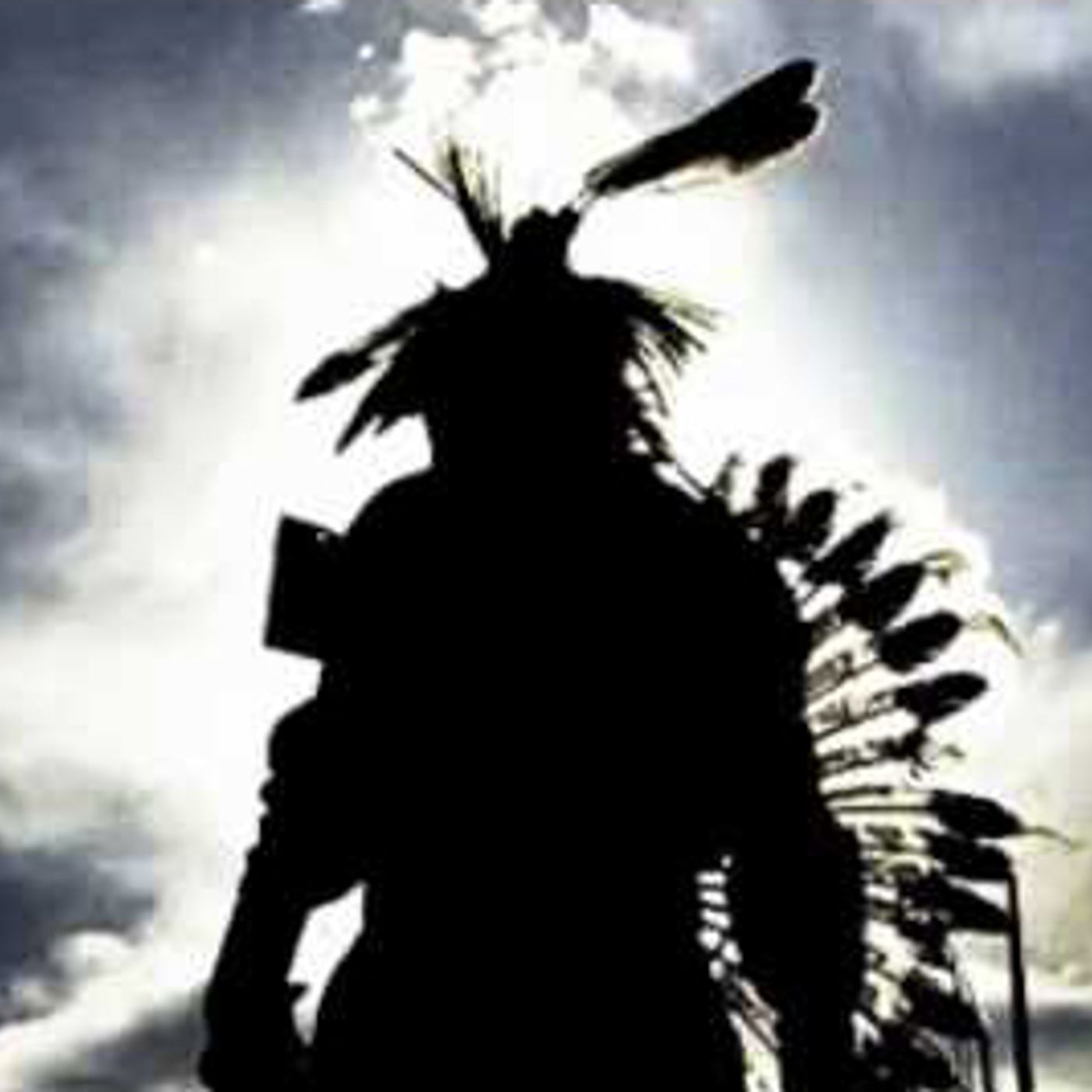 Native Opinion an American Indian Perspective