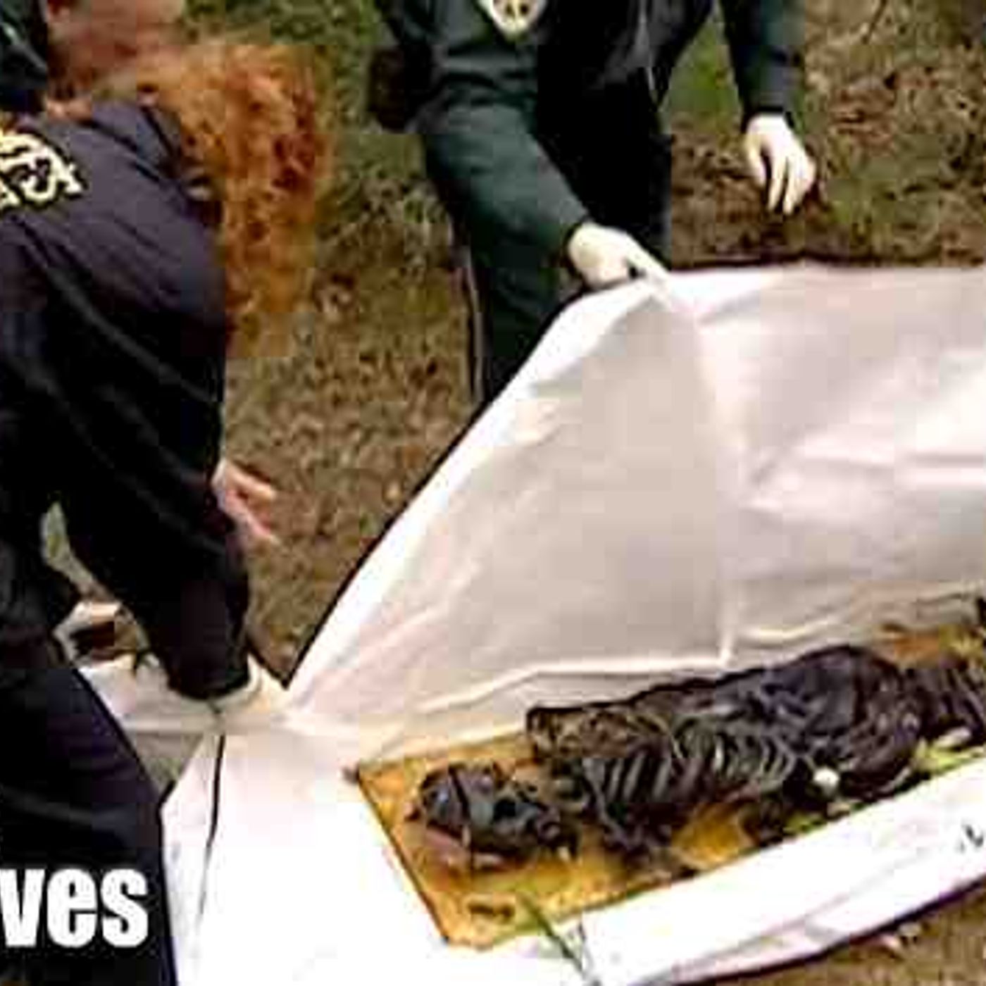 The Most Cruel Murder Committed By Children In Florida _ The New Detectives episode artwork