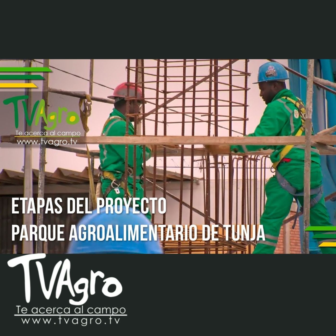 TV AGRO