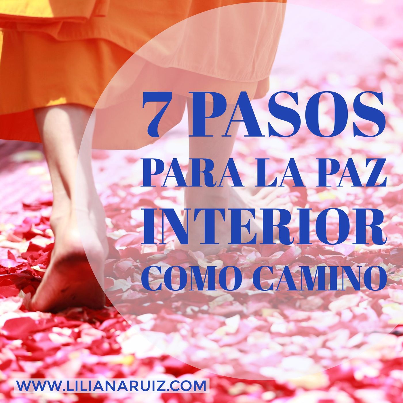 Una Nueva Perspectiva con Liliana Ruiz