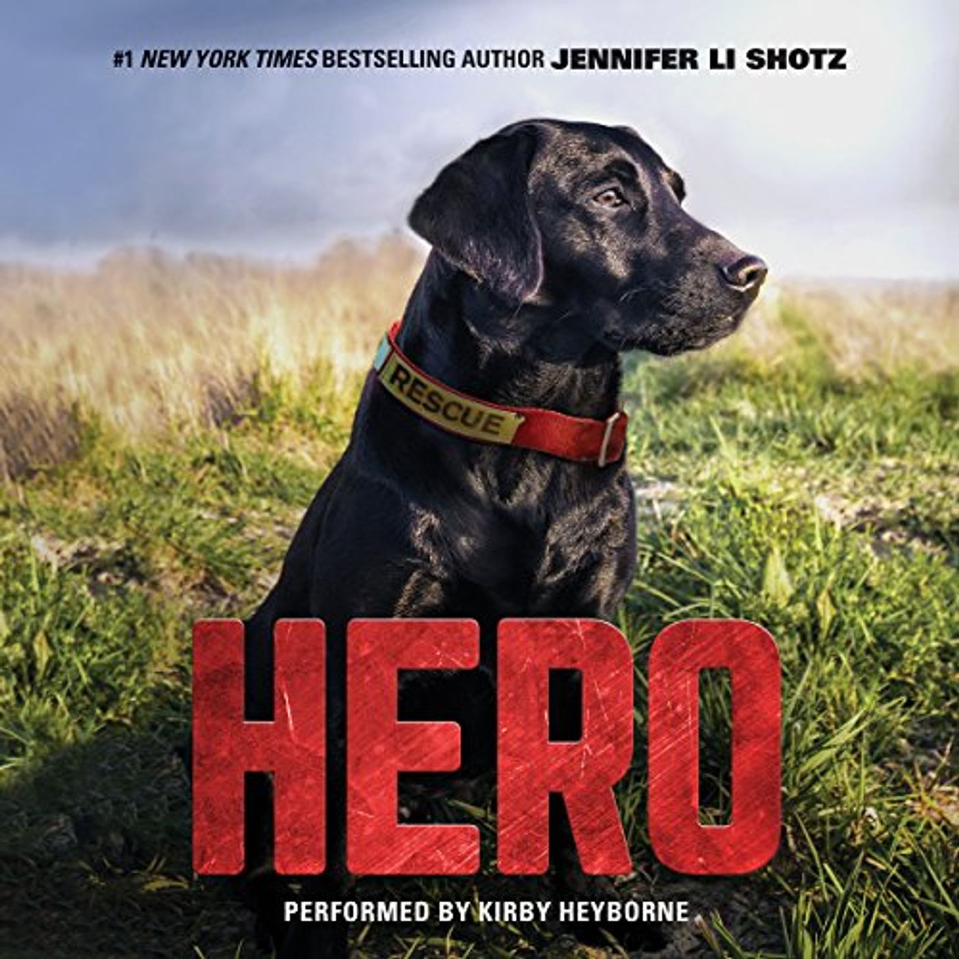 Discover Popular Authors Audiobooks in Kids, Ages 8-10