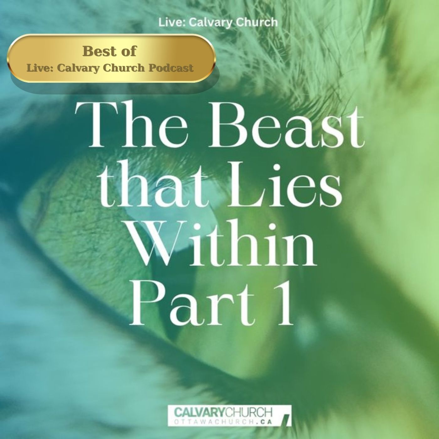 Best of: The Beast that Lies Within- Part 1. episode artwork