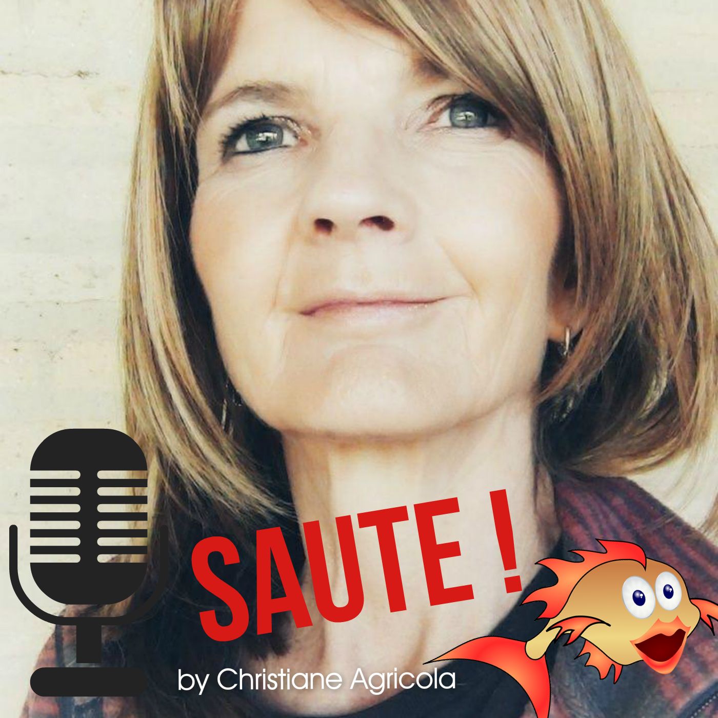 Part 3 - Une allemande débarque en France (mon histoire) episode artwork