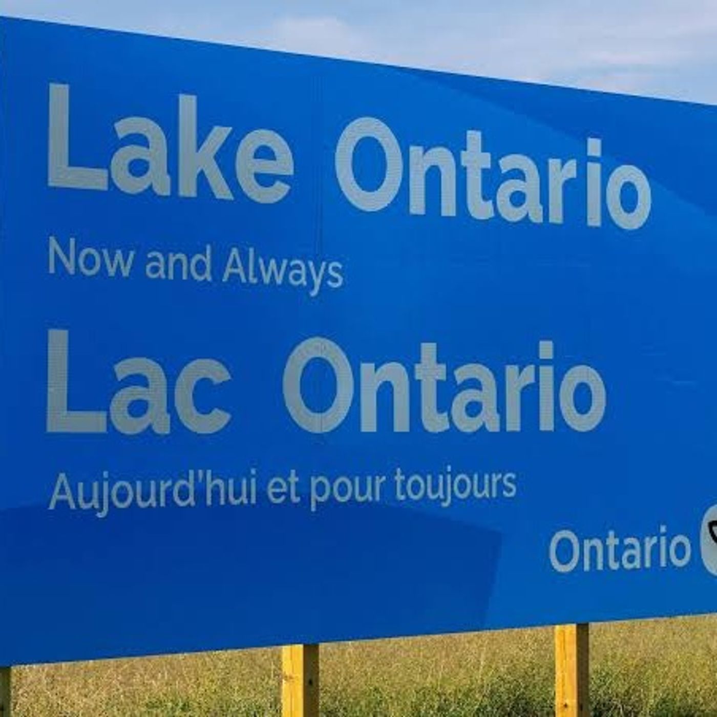 Did Trump's trade war impact Ontario's byelections results episode artwork