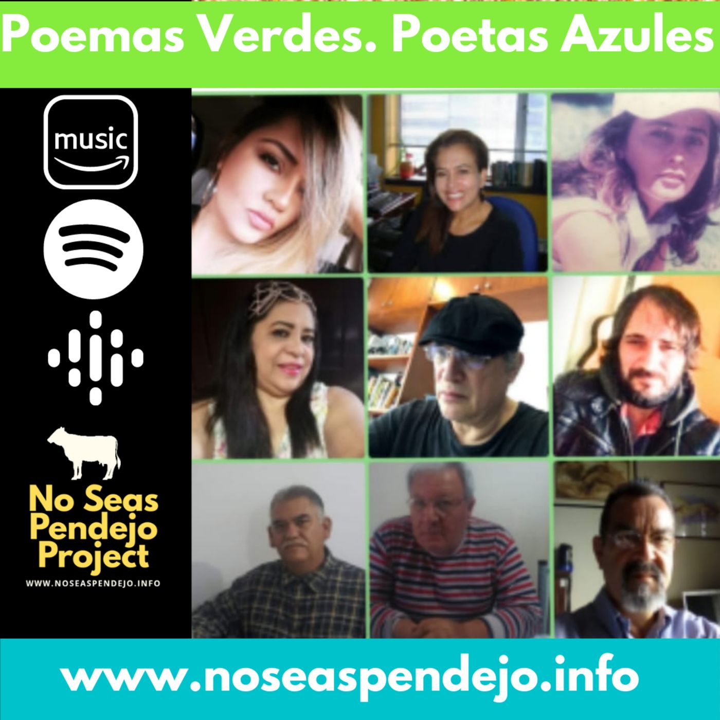 No Seas Pendejo Project