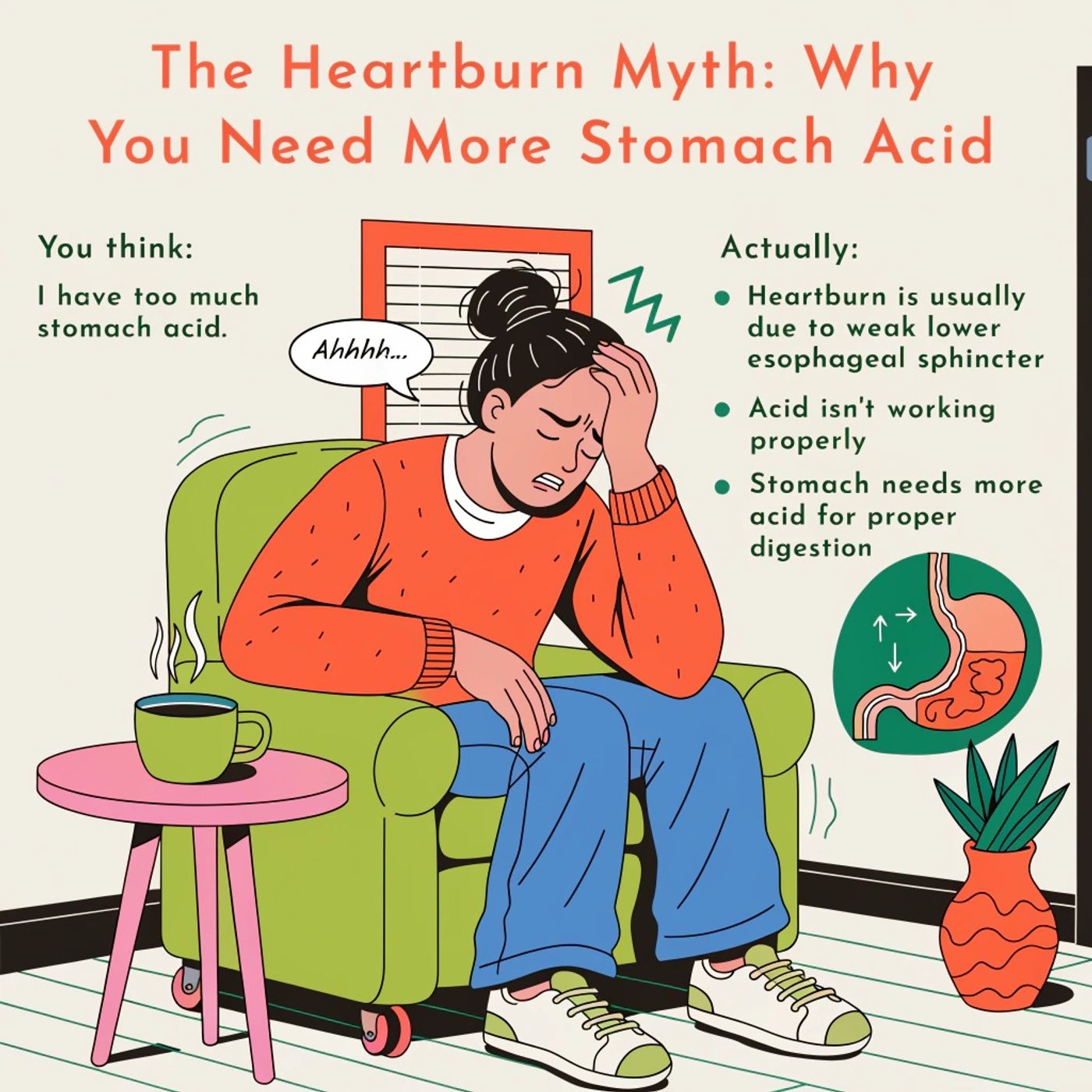 The Heartburn Myth: Why You Need More Stomach Acid