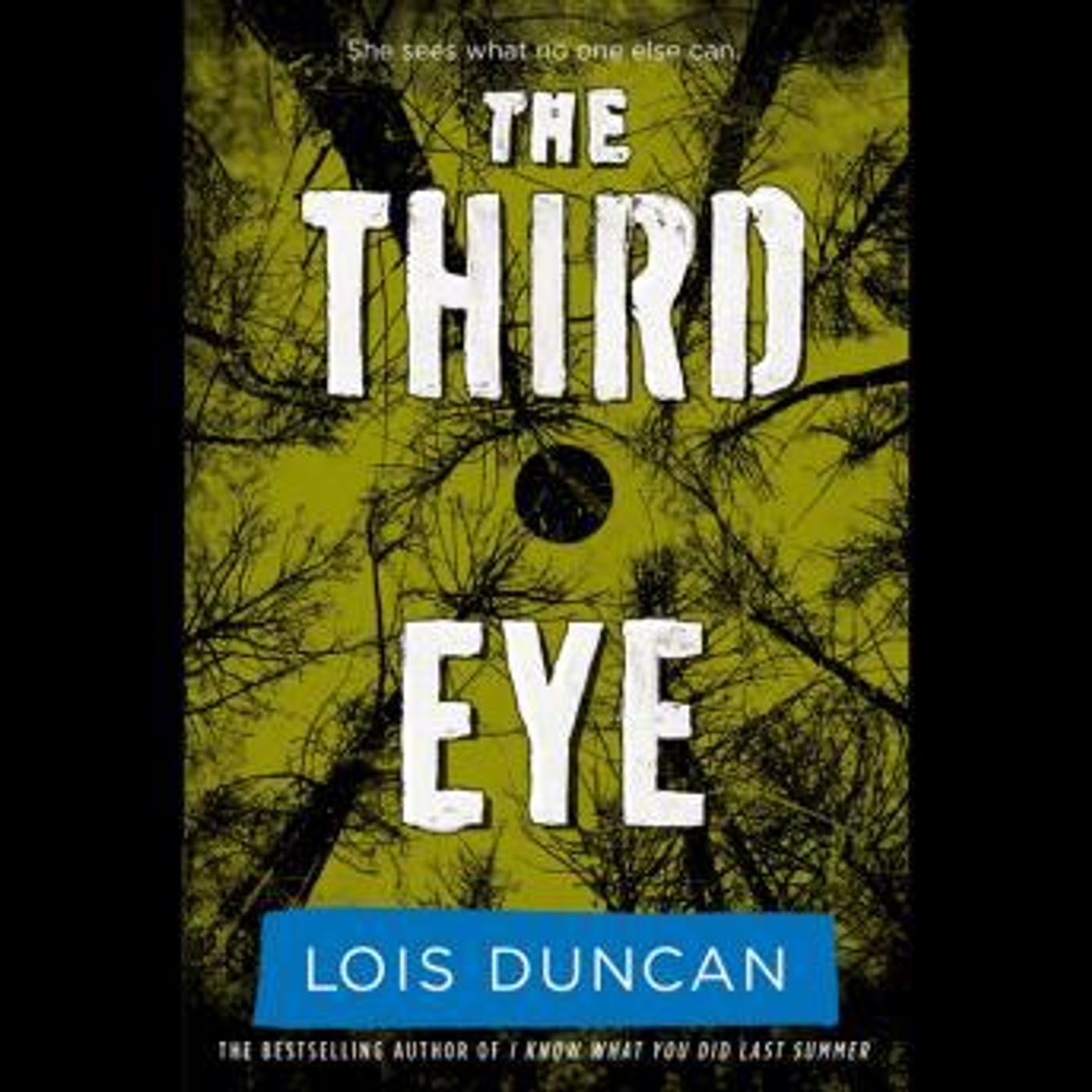 Stream Popular Full Audiobooks in Kids, Mystery & Fantasy