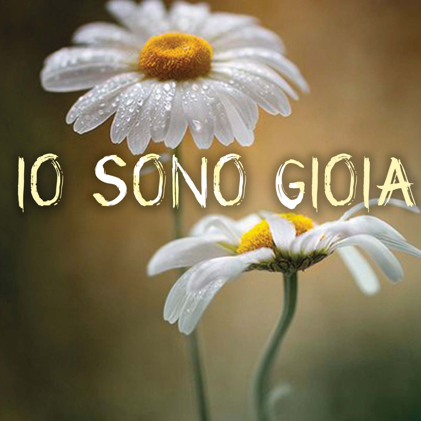 "Pav Racconta "...Elena Contenti episode artwork