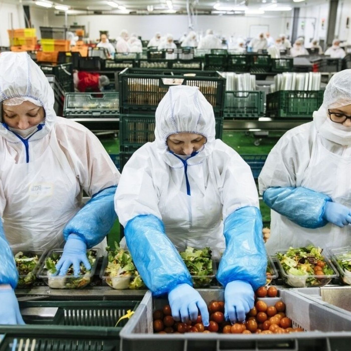 Factores ambientales Industria Alimentos podcast artwork