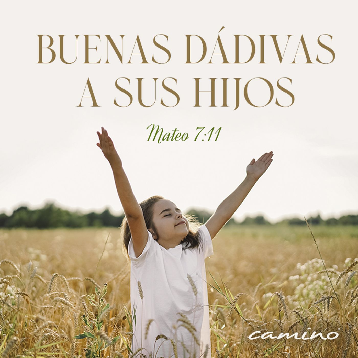 Oración 6 de mayo (Buenas dádivas a sus hijos) episode artwork
