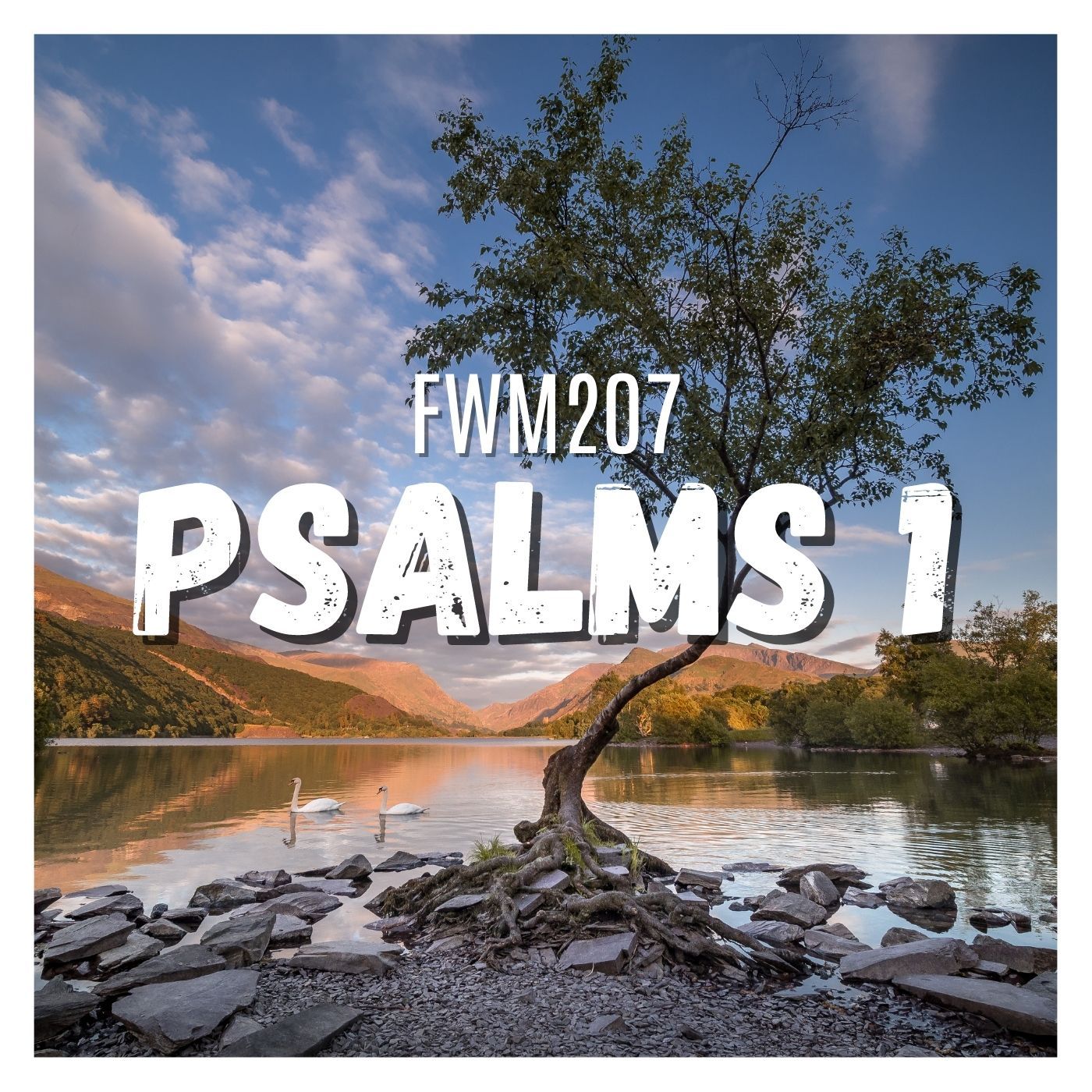 FWM207 Psalm1