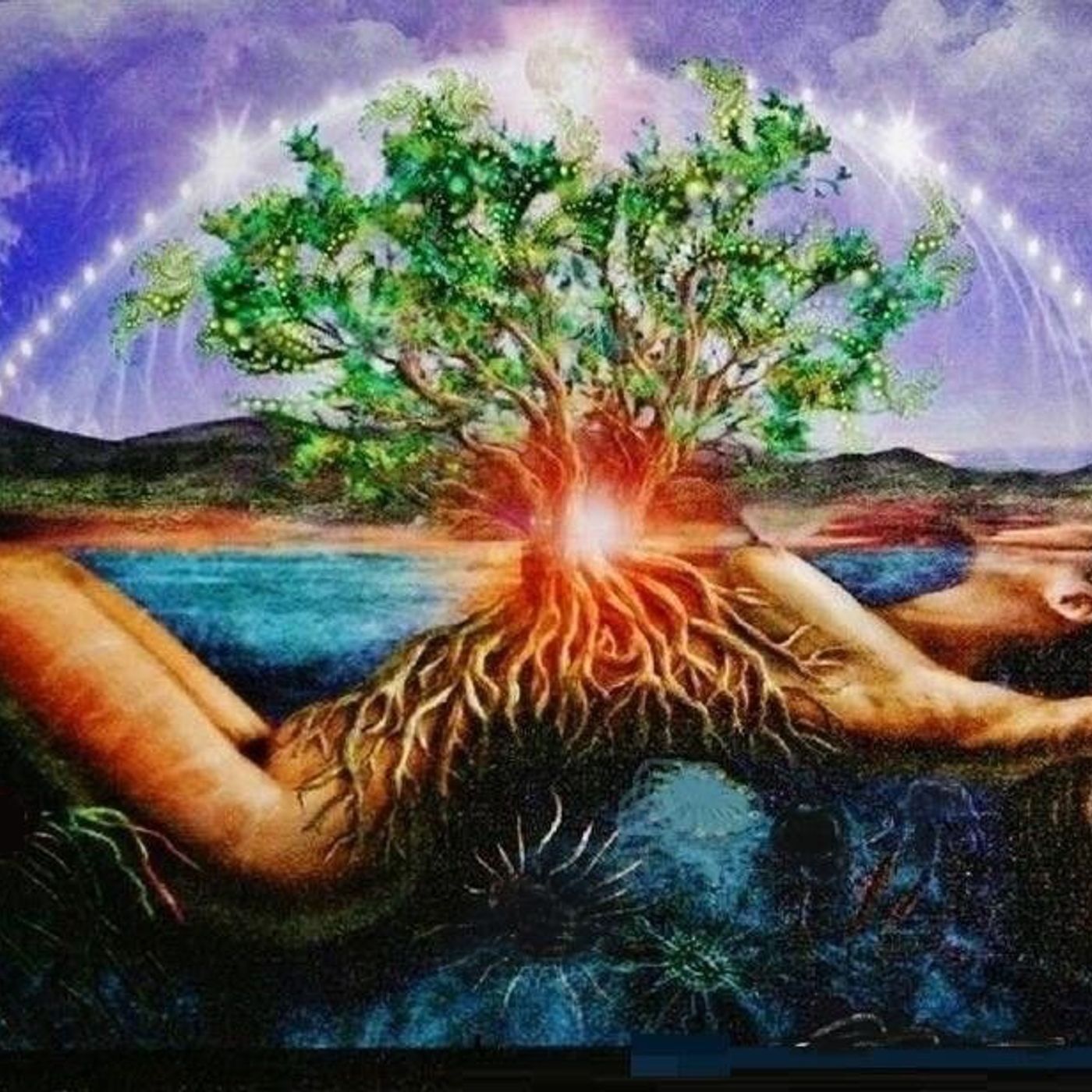 Meditazioni Focalizzate [creazione]