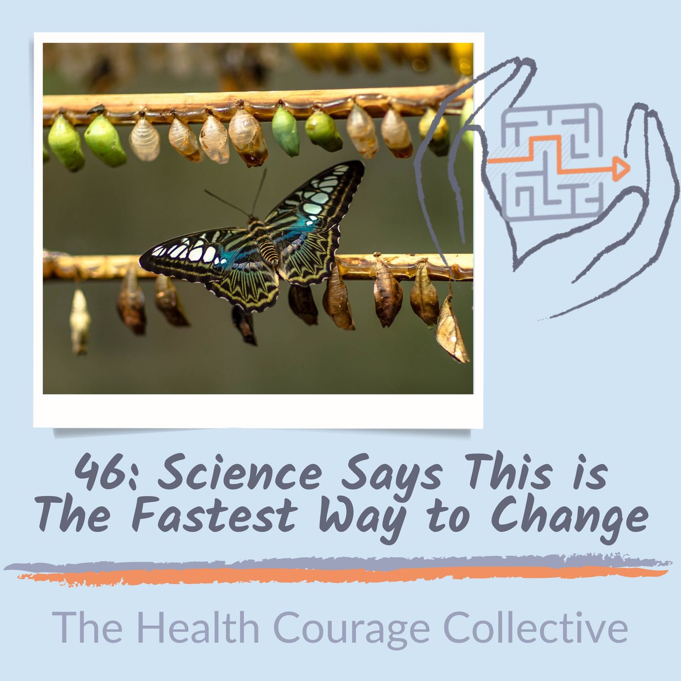 The Health Courage Collective