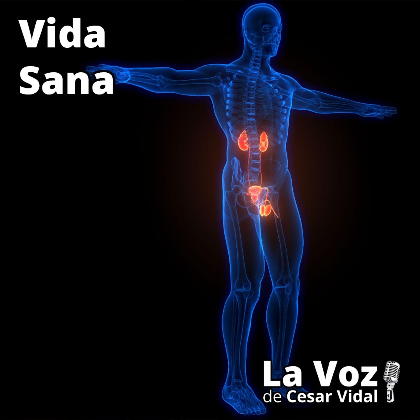 Vida Sana: La salud de su próstata (2) - 01/10/25 episode artwork