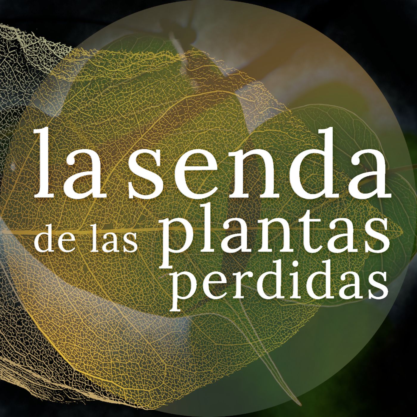 La Senda de las Plantas Perdidas