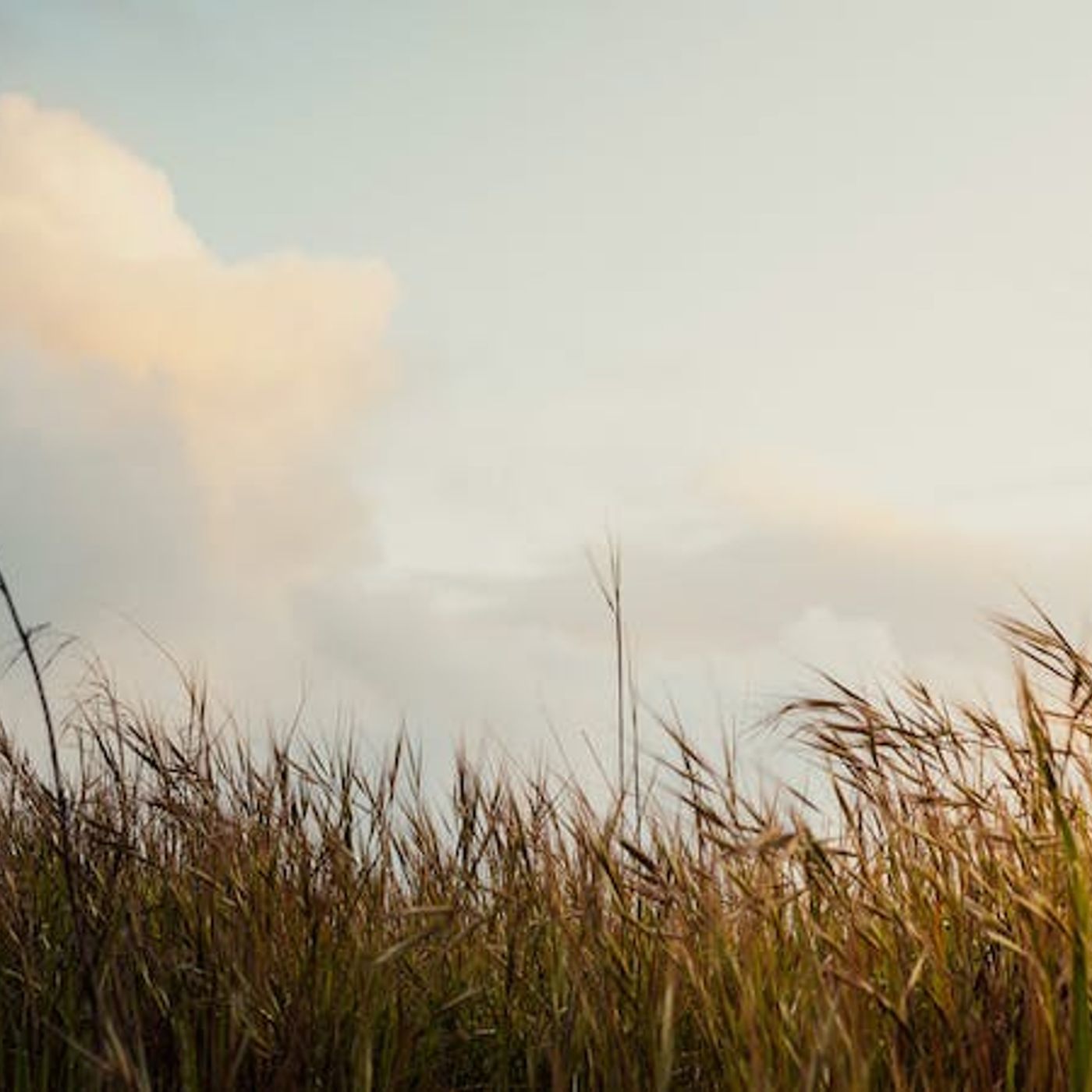 Why Is It Better That Christ Went Away (John 16:7)?