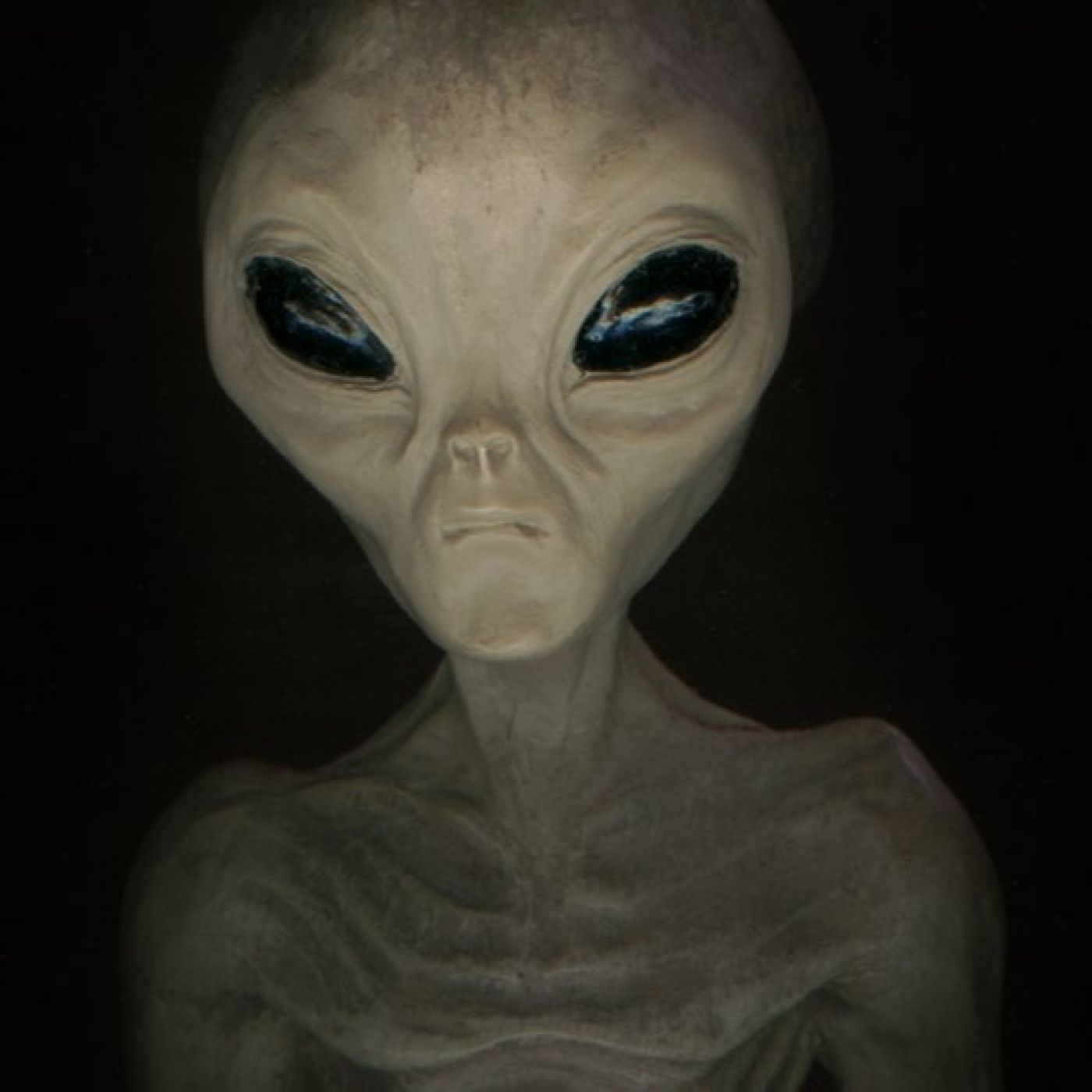 Interactuar