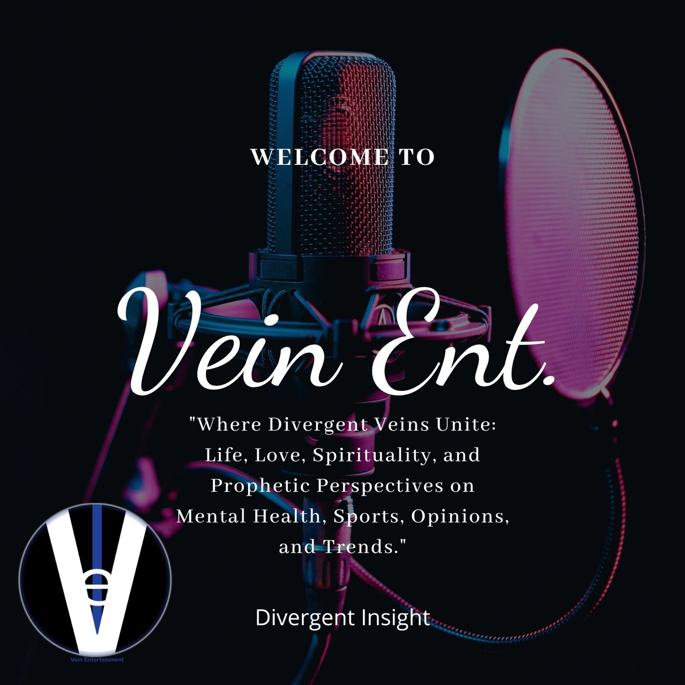 Vein Entertainment
