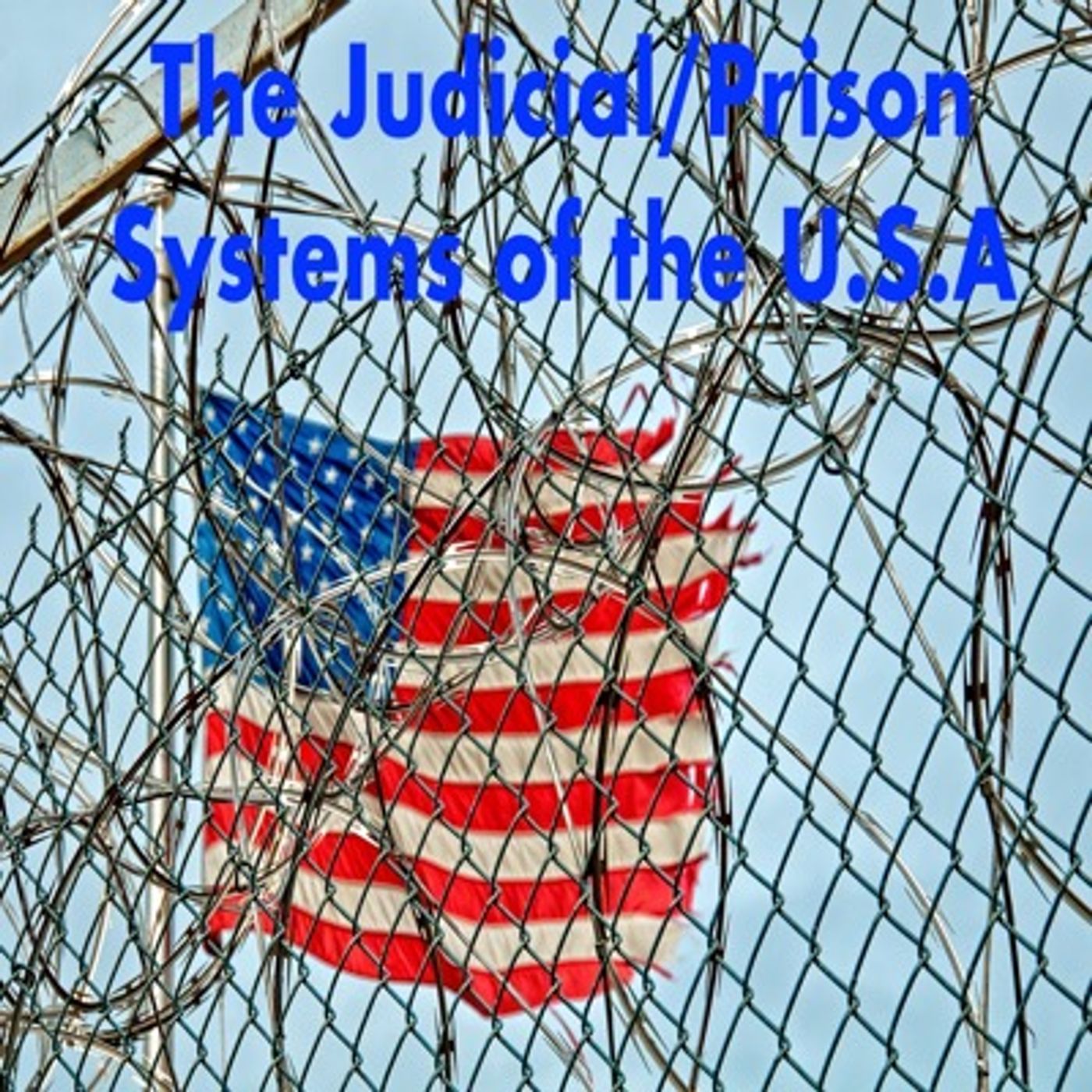 Episode 18 - The Judicial-Prison Systems in the USA