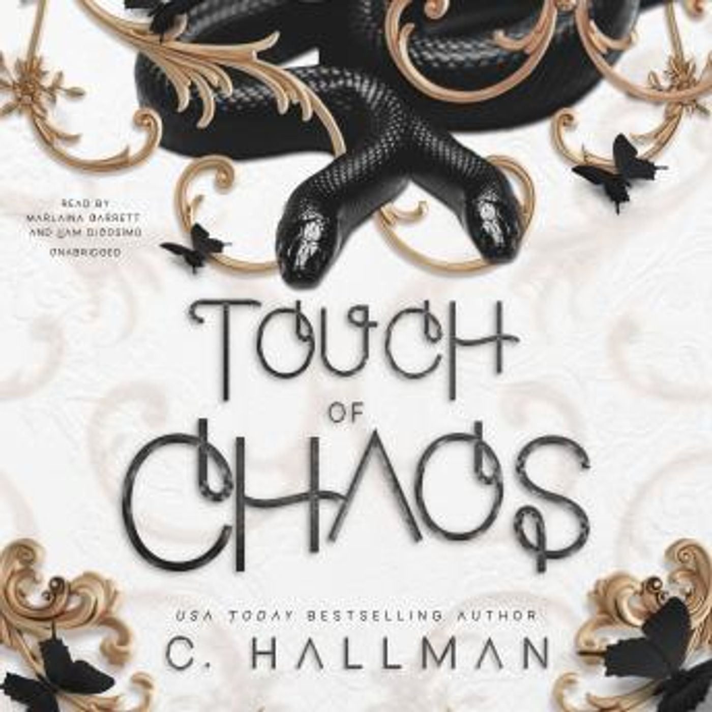 Touch of Chaos by C. Hallman episode artwork