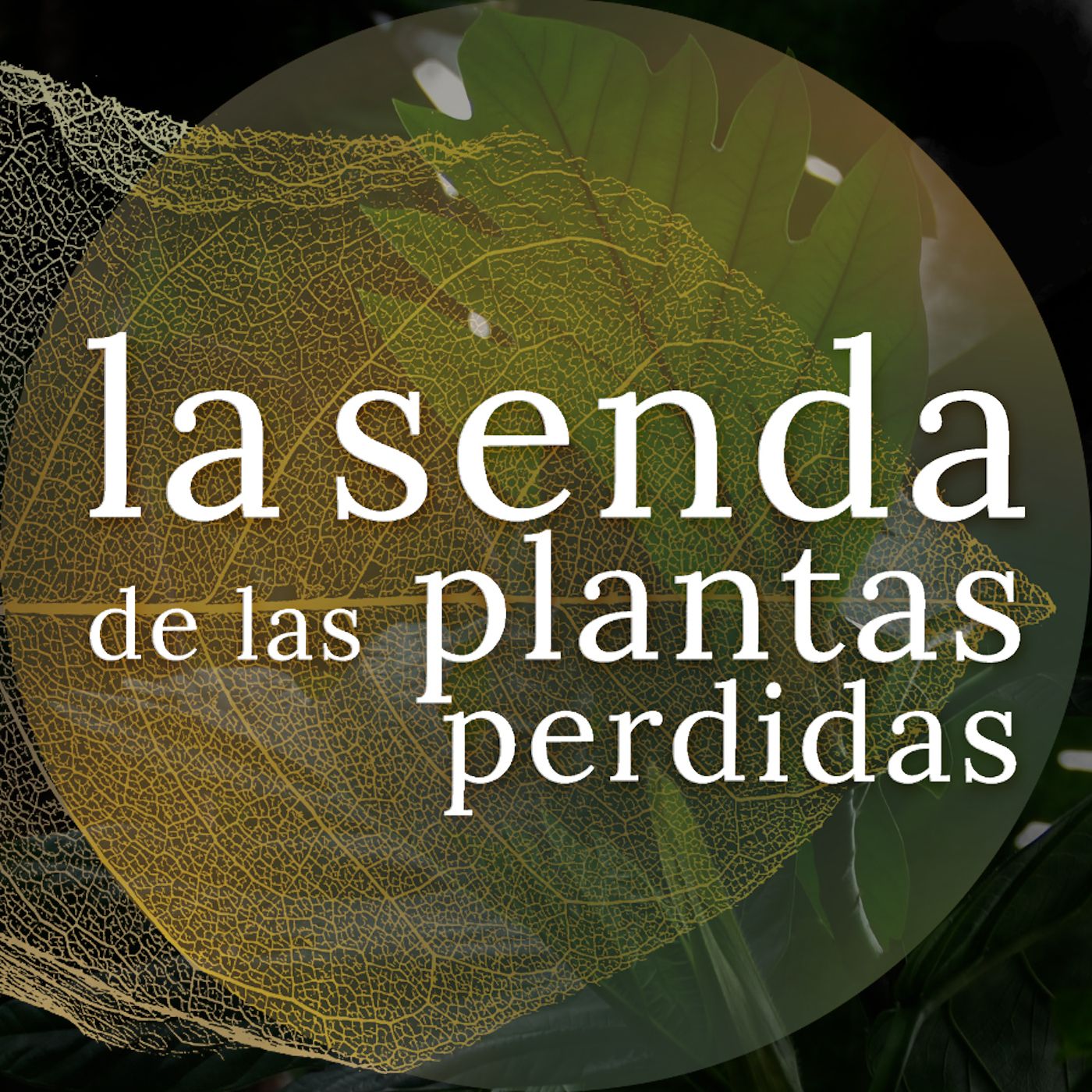 La Senda de las Plantas Perdidas