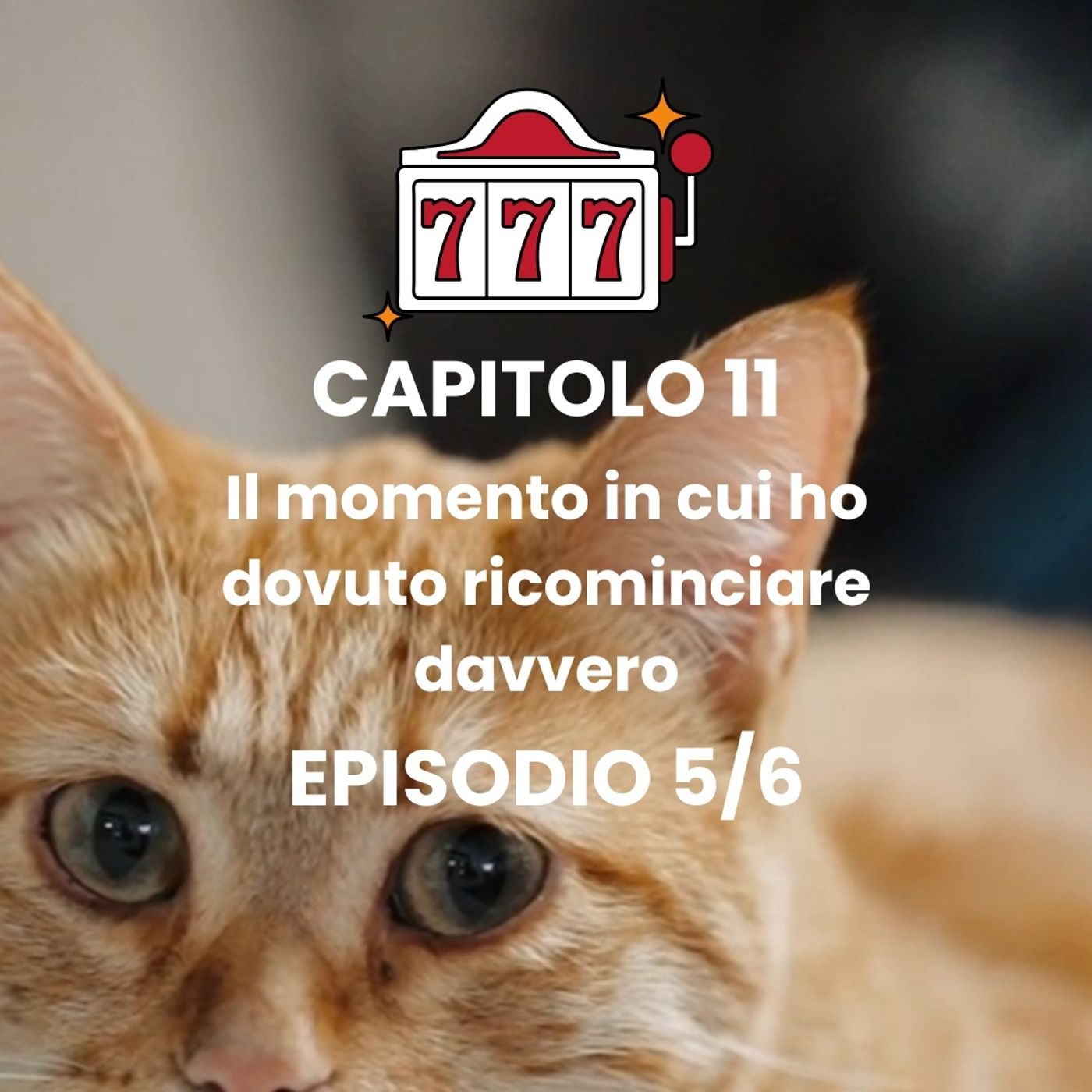 CAPITOLO 11 - Episodio 5 - Il doloroso addio al mio gatto episode artwork