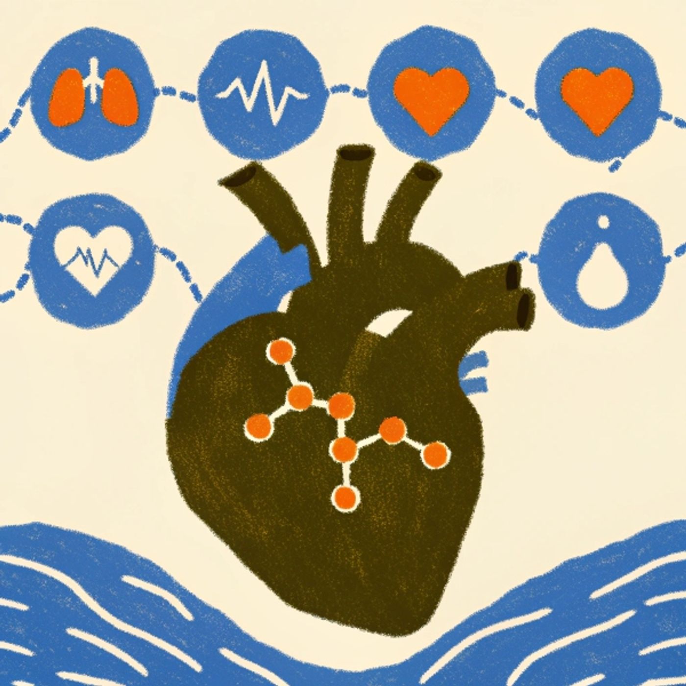 Resveratrol Benefits for Heart Health: Unlock the Longevity Protein and Avoid Dosing Mistakes