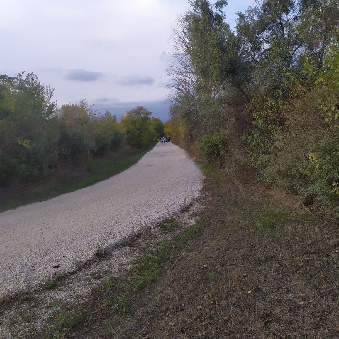 #PerformingMedia 2022 - Parco Archeologico dell'Appia Antica, Capo di Bove 30/09/22 5 episode artwork