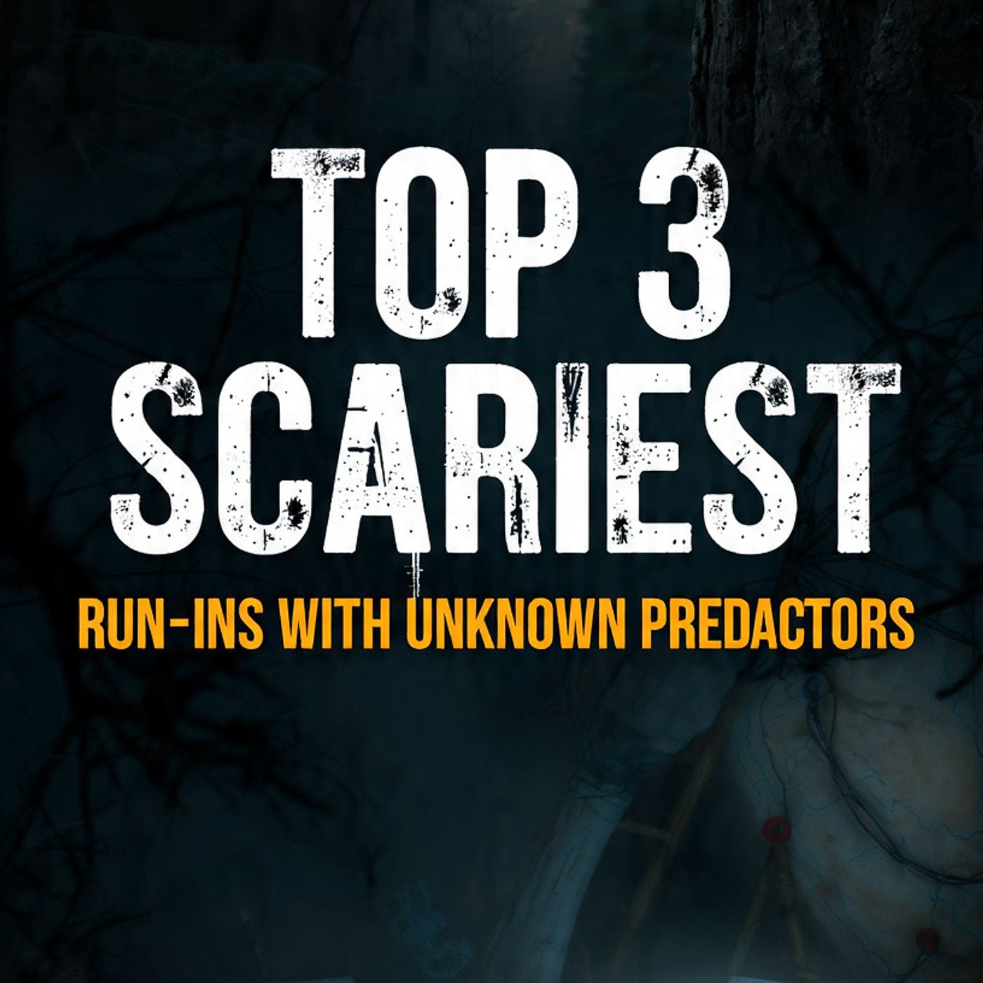 Top 3 SCARIEST run-ins with unknown predators Missing 411 (Part 20) episode artwork