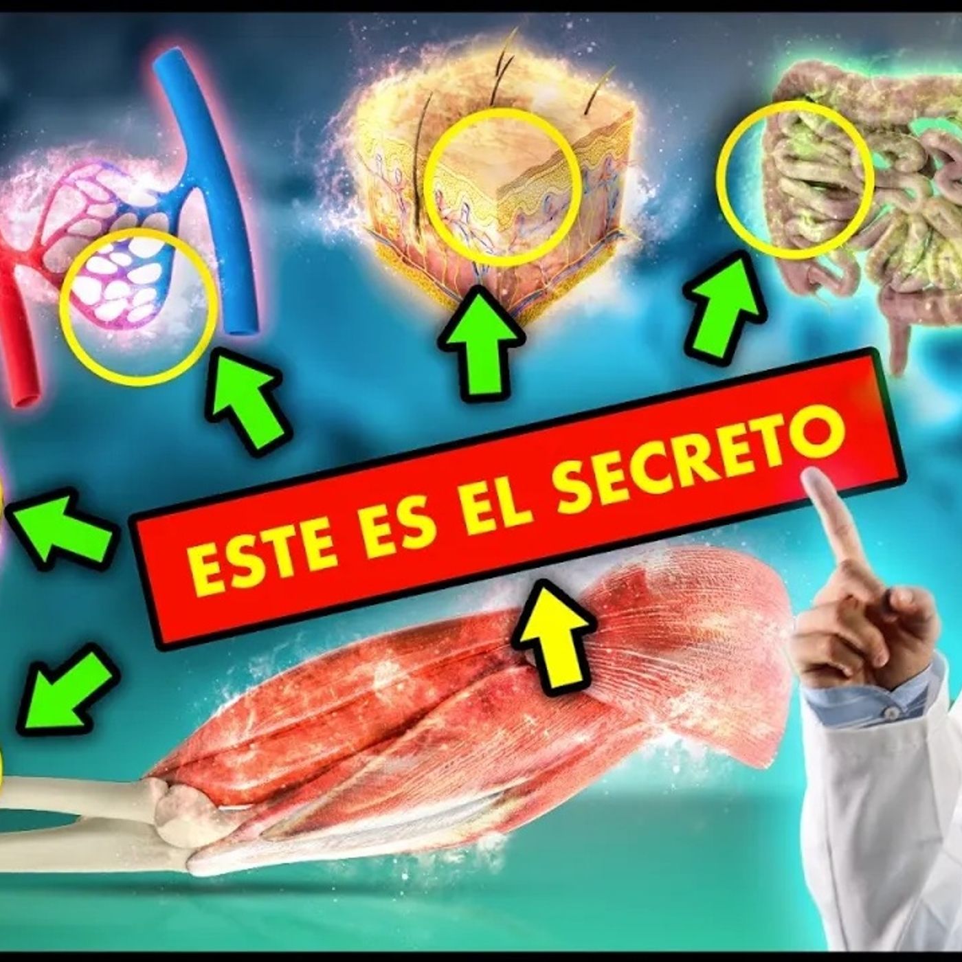 Esta es la DESCONOCIDA RAZÓN por la que el EJERCICIO REJUVENECE tu CUERPO en poco tiempo