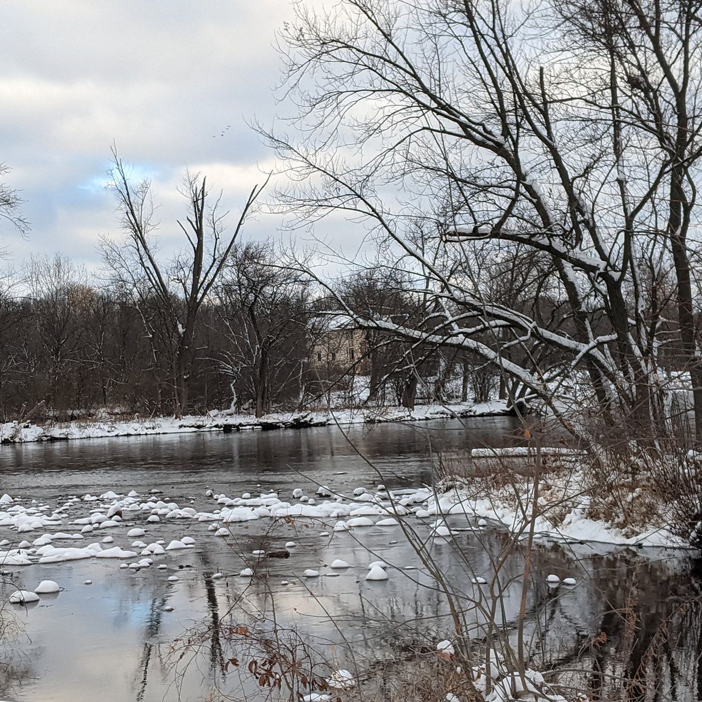 Conservation Foundation’s program at Yorkville Library uncovers Fox River’s diversity