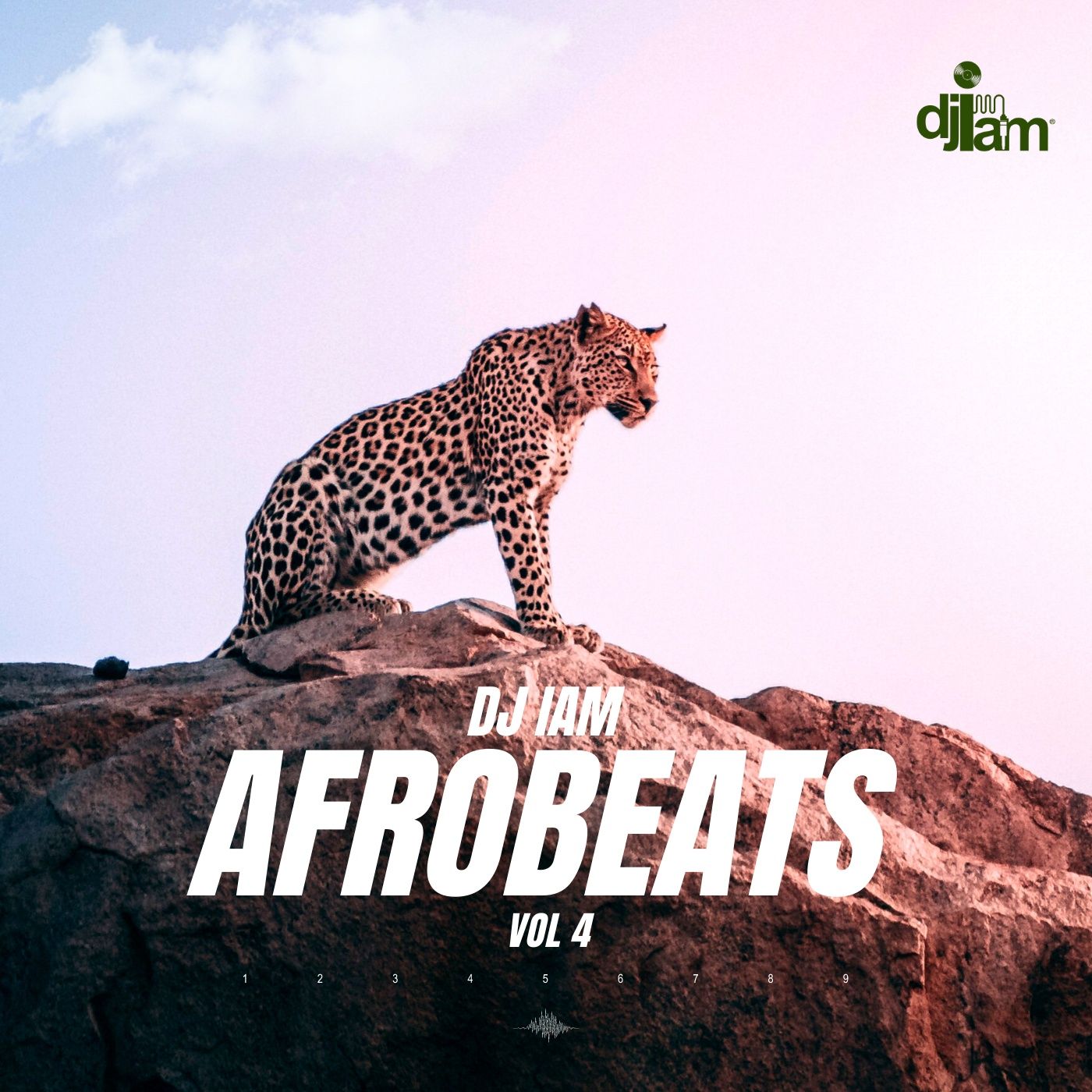 Afrobeat Mix 2021 | The Best of Afrobeat 2021 by DJ iAM