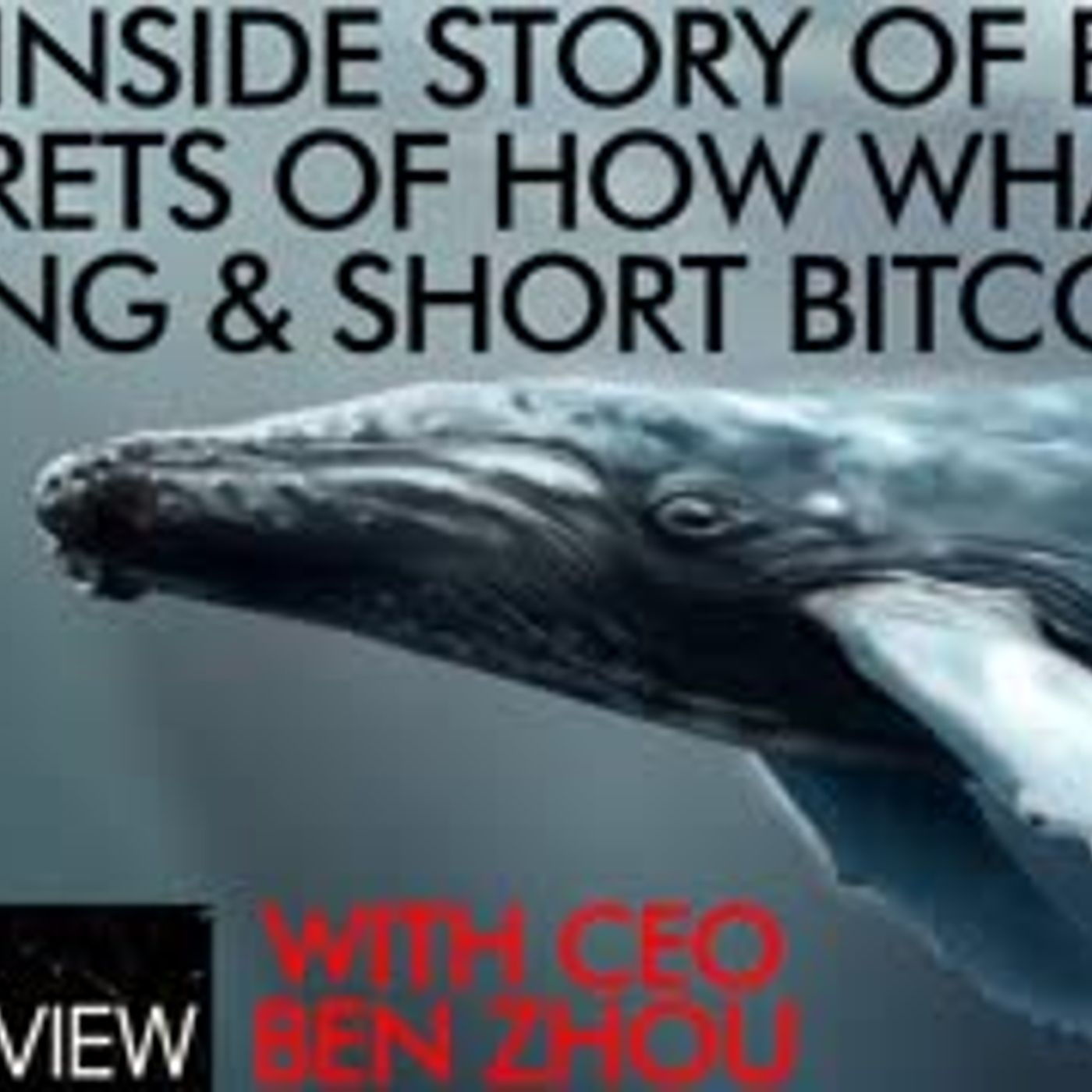 Crypto Waves: The Crypto Lark Podcast