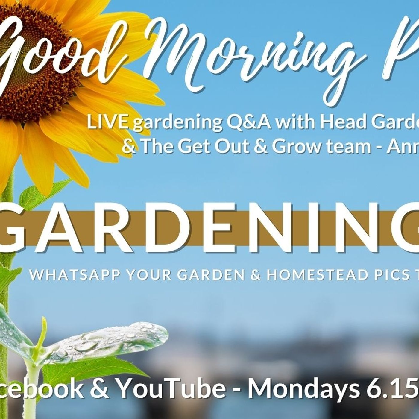 LIVE Gardening Q&A - The Get Out & Grow! Show - 09-01-23