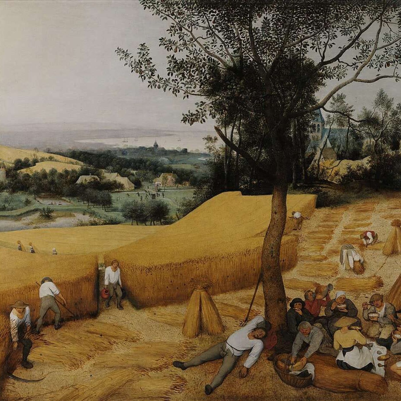 La fine del cibo a basso costo episode artwork
