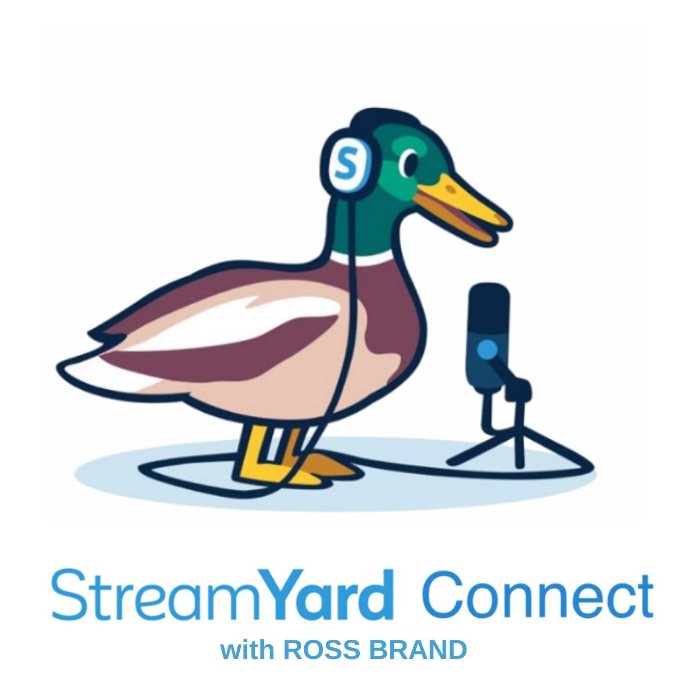 StreamYard Connect