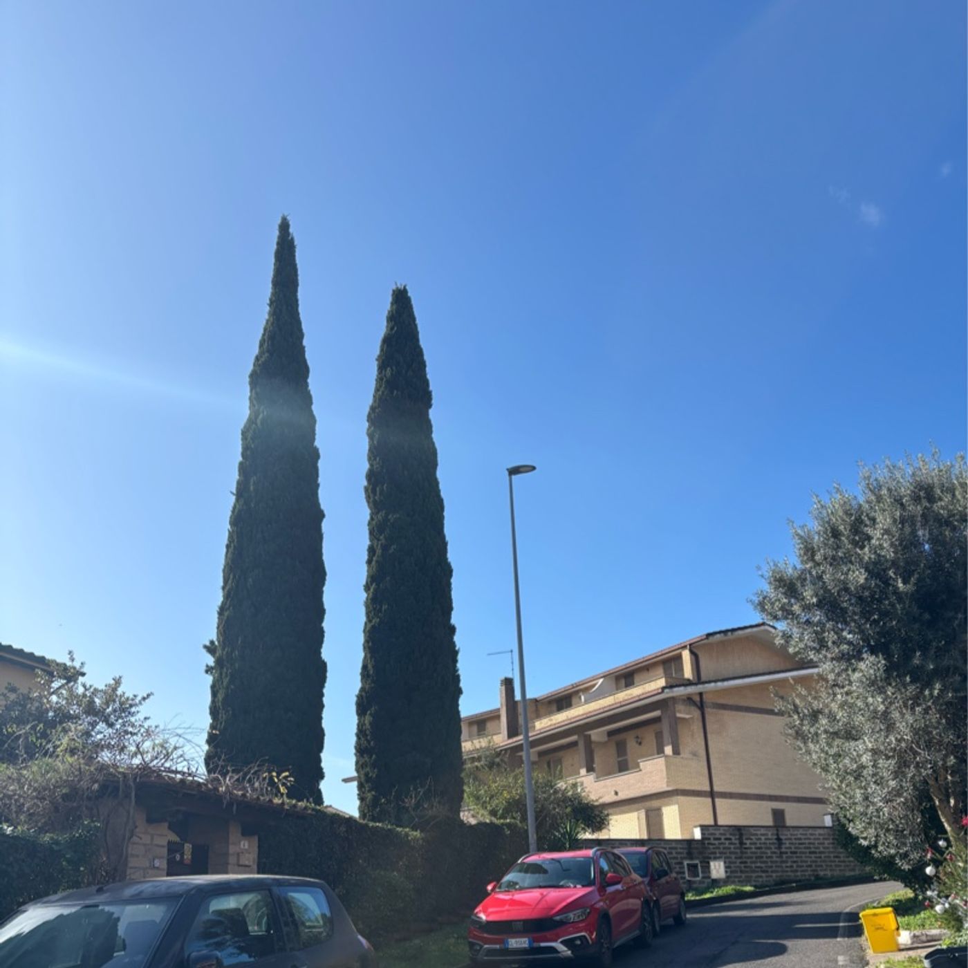 Il matrimonio 3 episode artwork