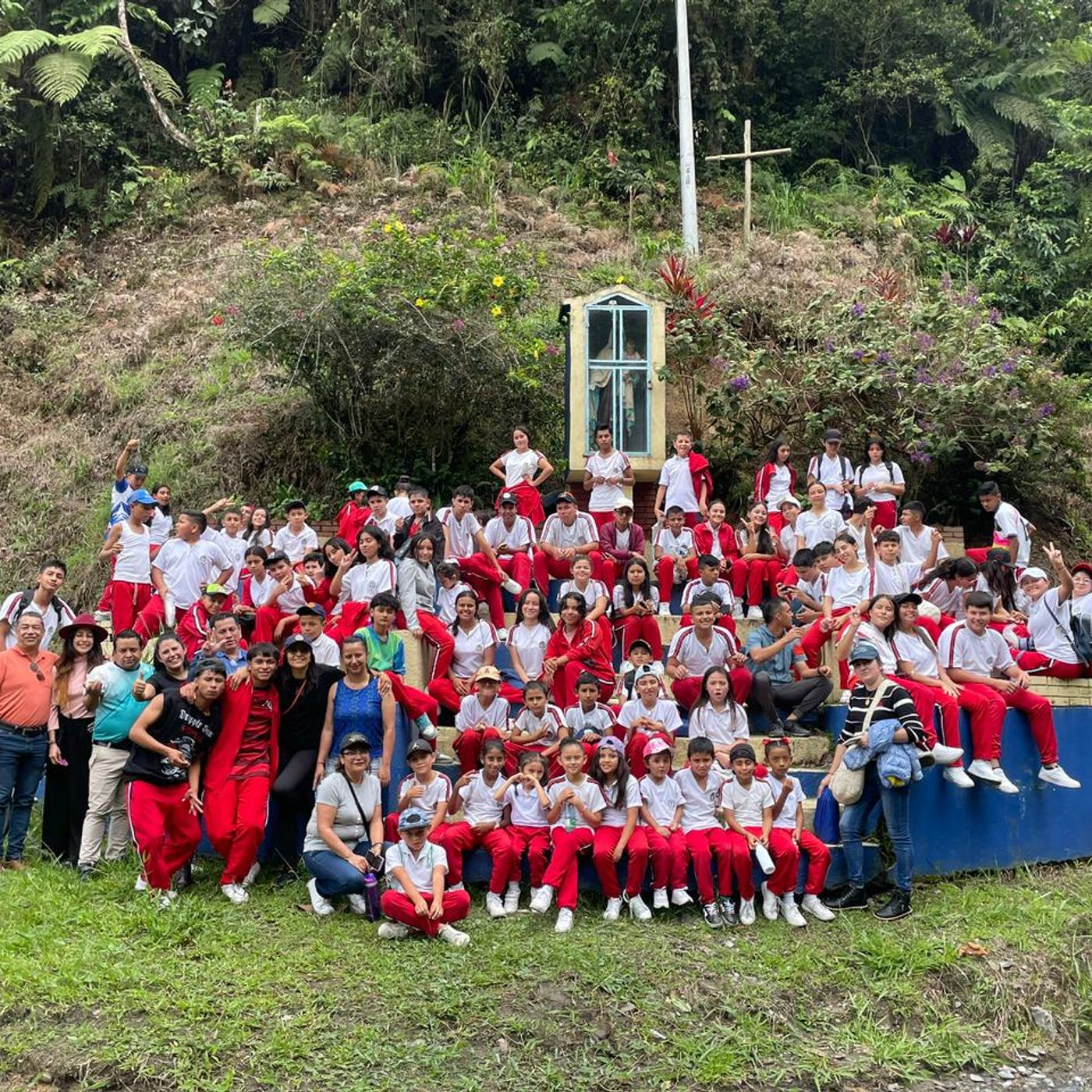 PROYECTOS ESCOLARES