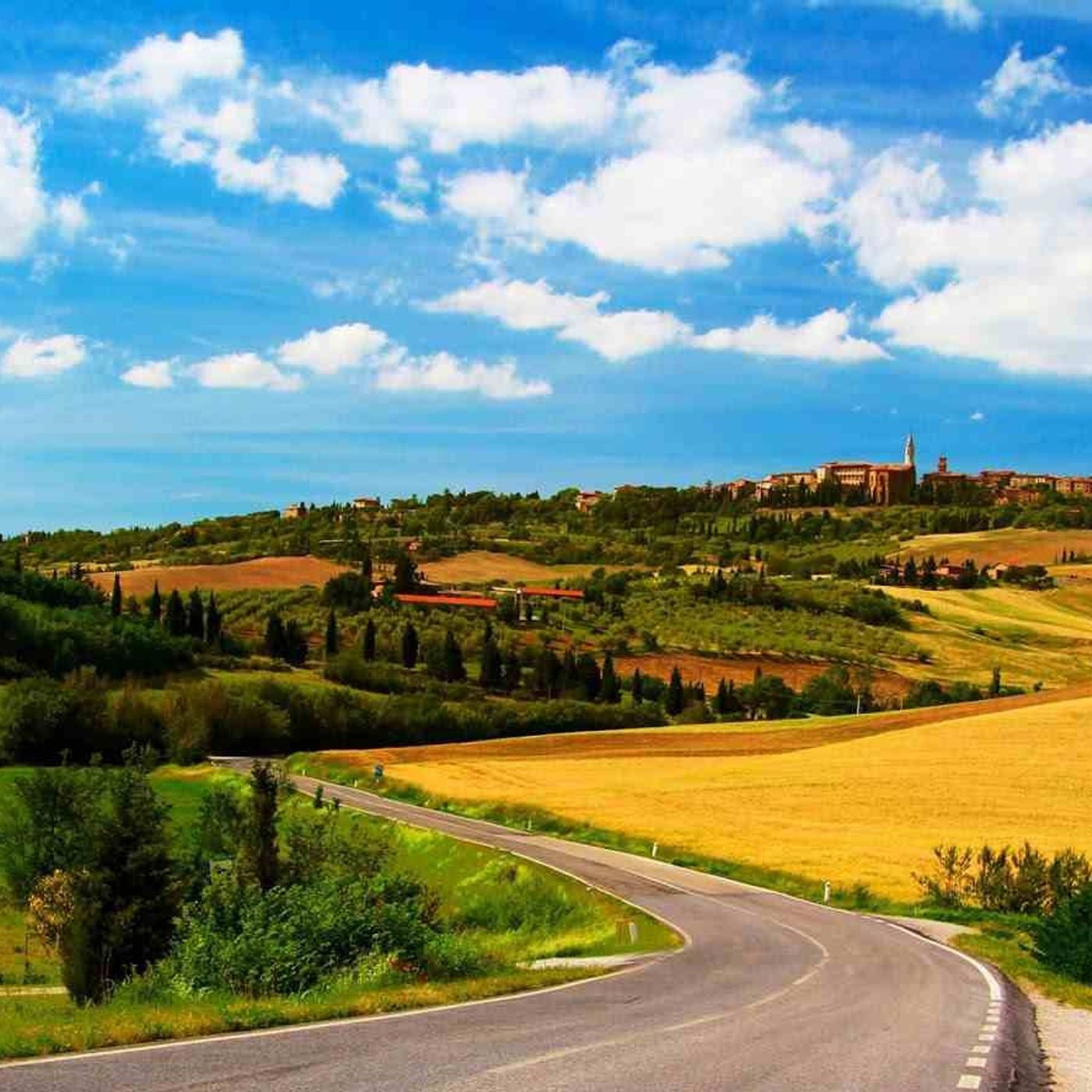 Audio Script-English Presentation