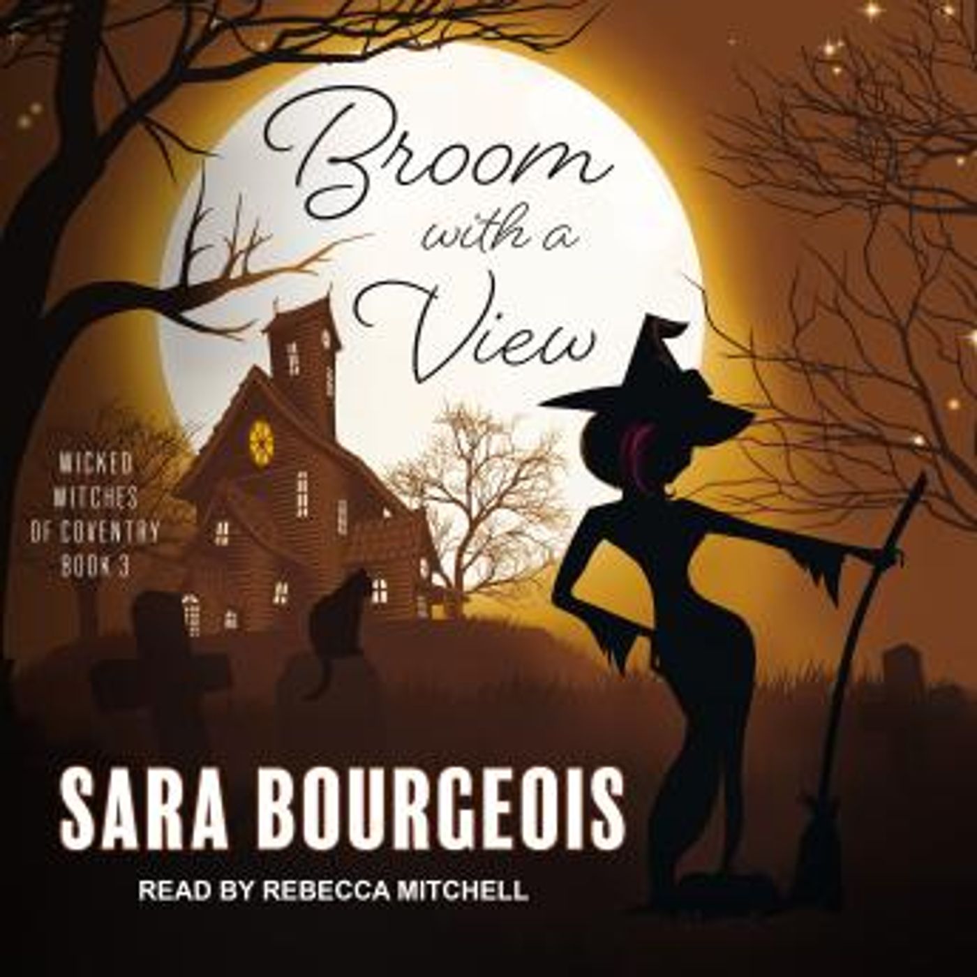Broom with a View by Sara Bourgeois episode artwork