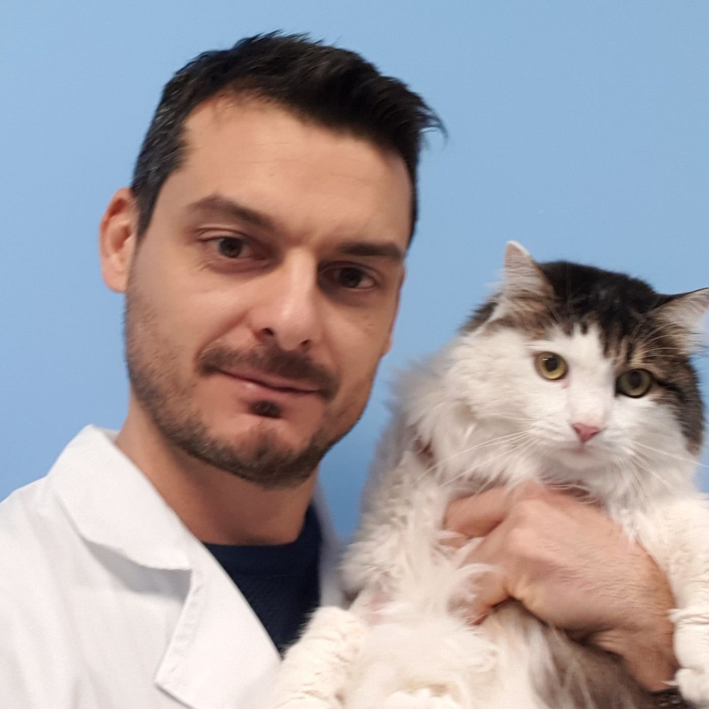 Pillole di VETERINARIA