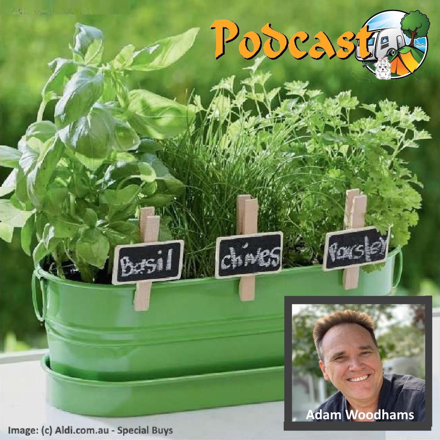 The Food-Wine-Pets-Travel+ Podcast
