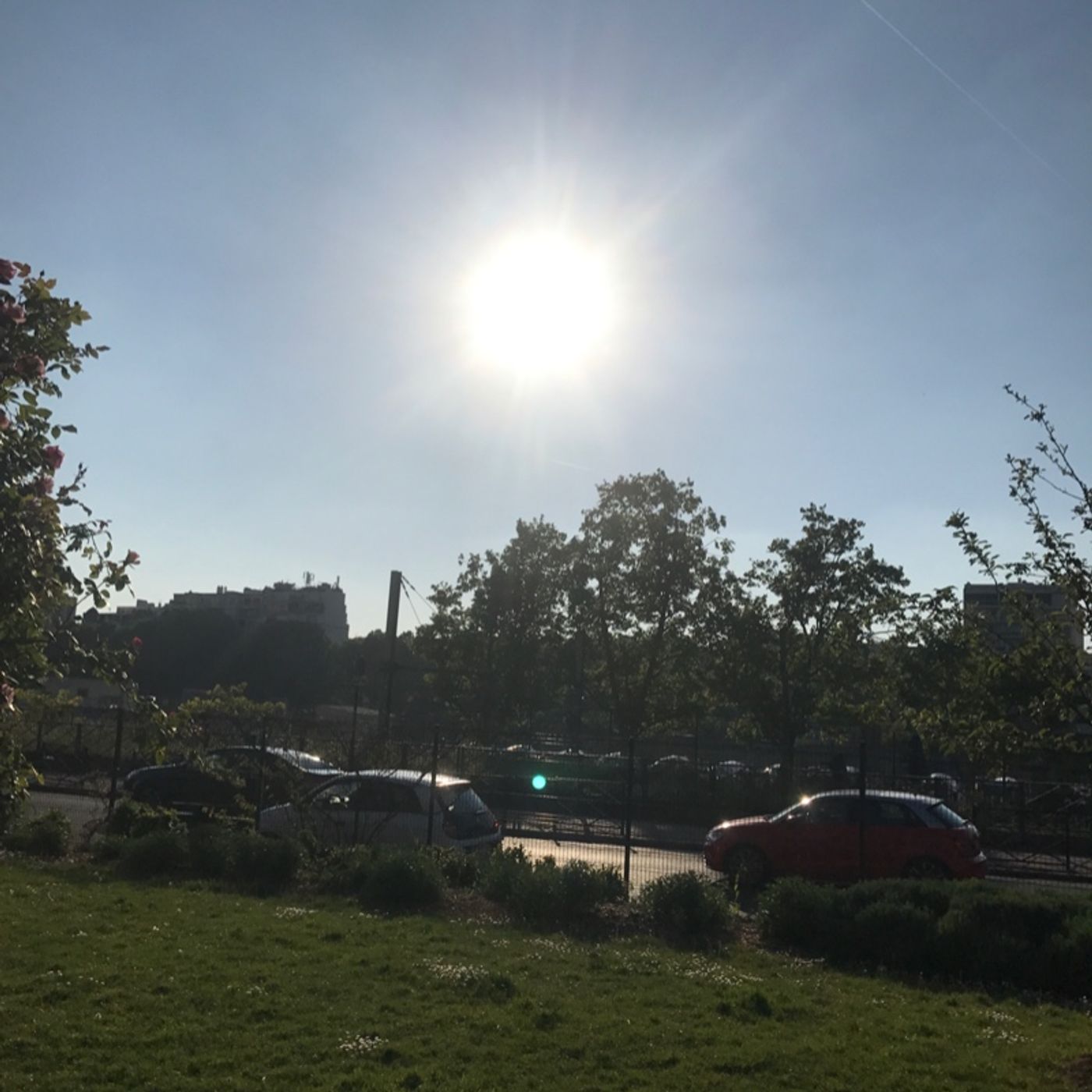 Cho Petant Black-Cherry Chou\'s show