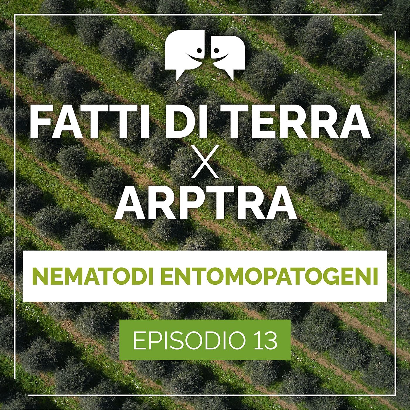 Fatti di terra