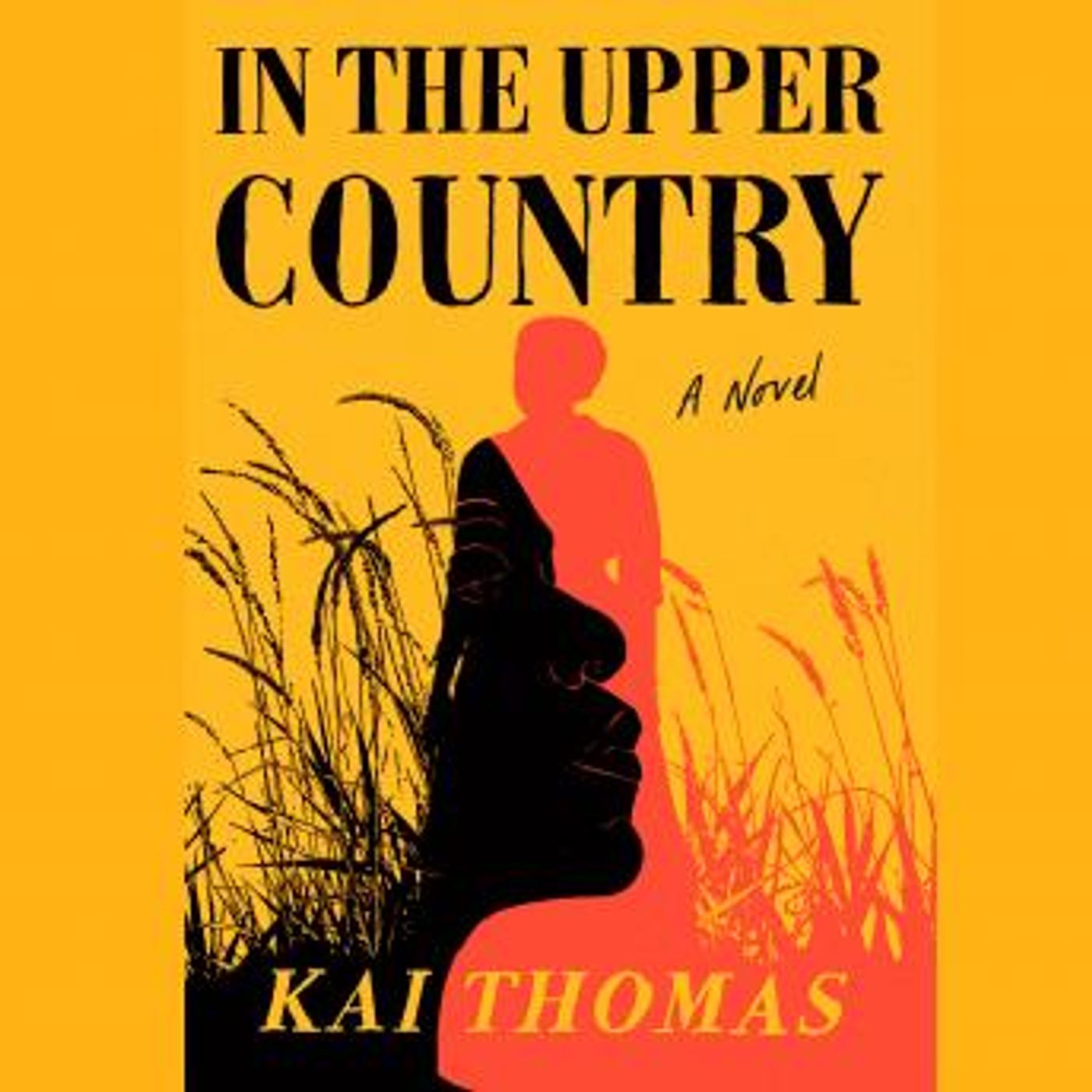 Listen to Best Full Audiobooks in Fiction, Drama