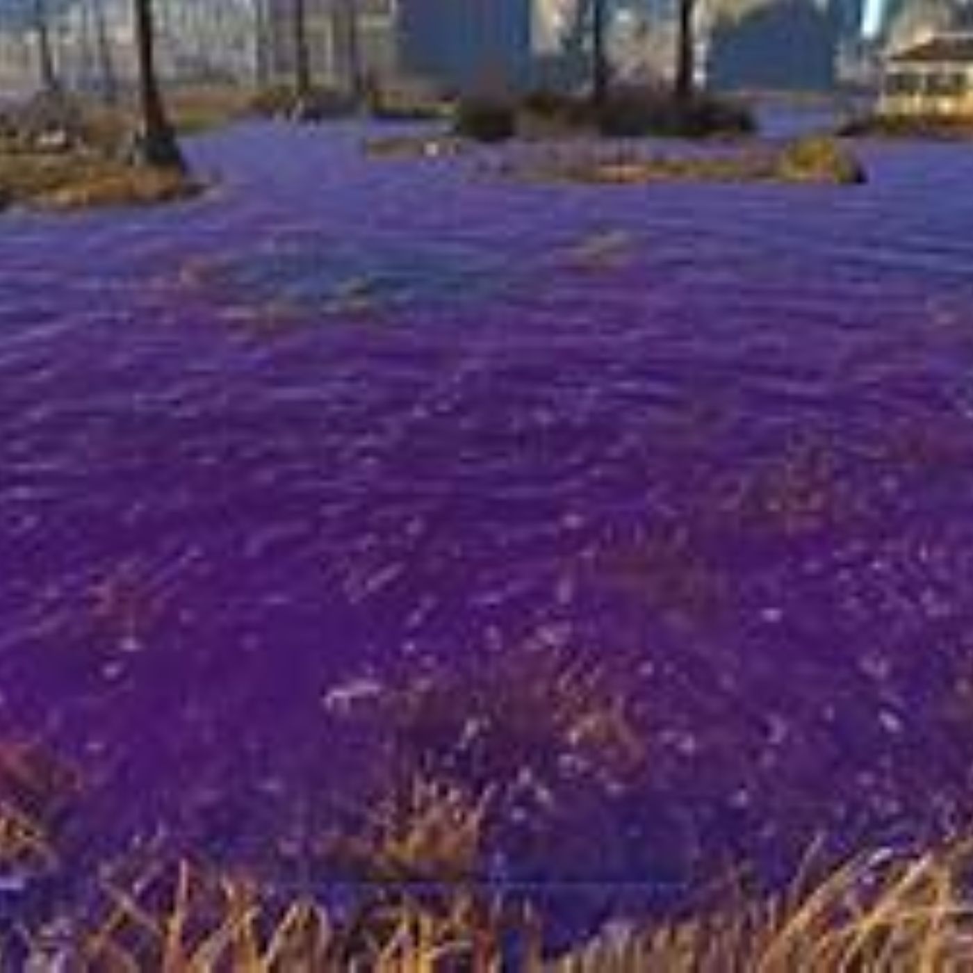 Green Talk Live and More Show