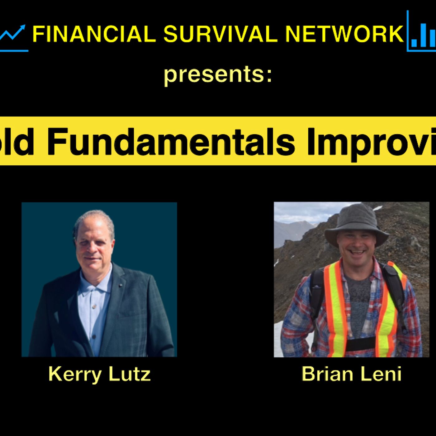 cover of episode Gold Fundamentals Improving - Brian Leni #5388